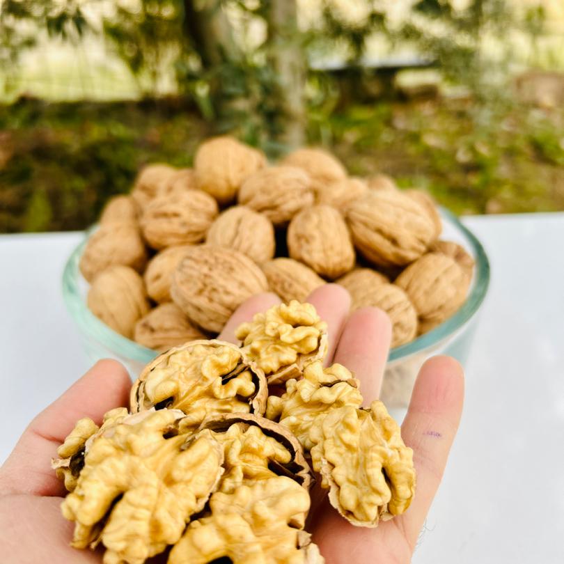 5 KG İnce Kabuklu İçi Beyaz Ceviz