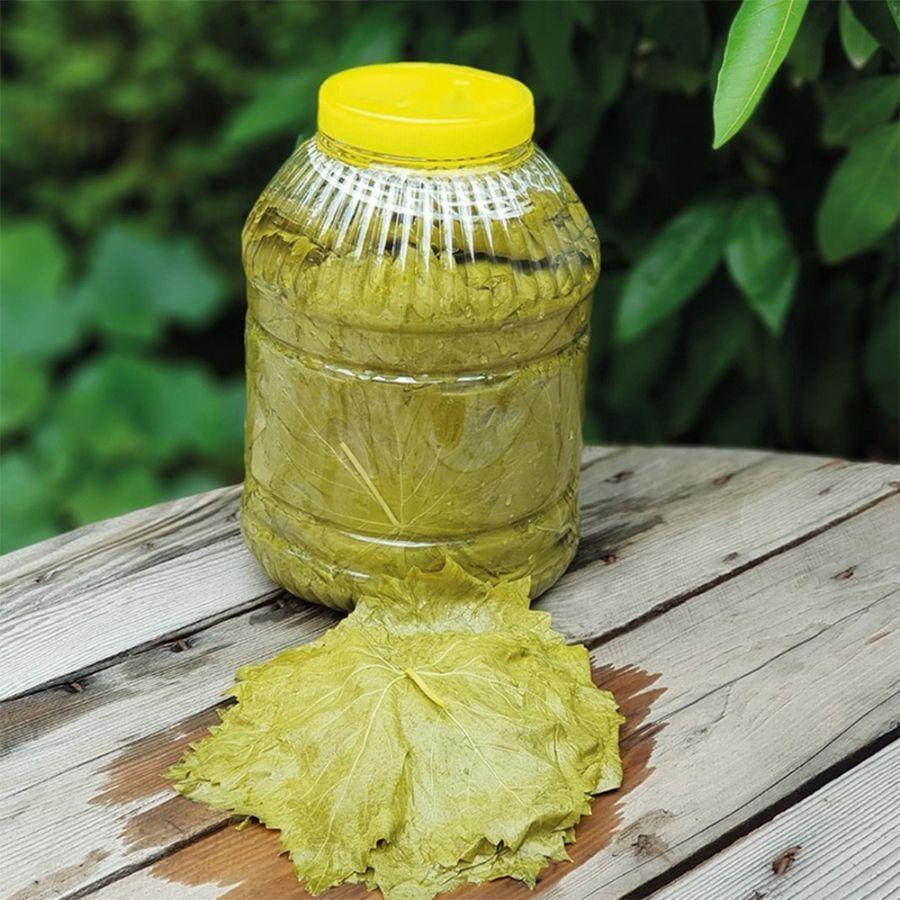 Salamura Yaprak 1 bidon